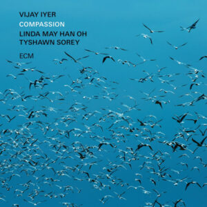 VIJAY IYER - COMPASSION