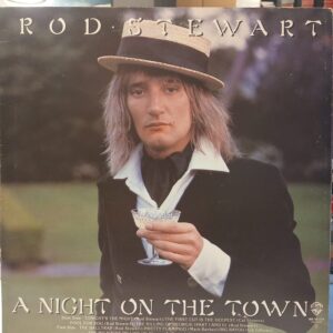 ROD STEWART - A NIGHT ON THE TOWN - Görsel 2