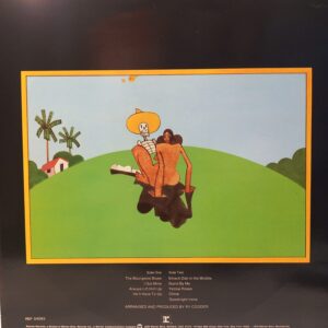 RY COODER - CHICKEN SKIN MUSIC - Görsel 2